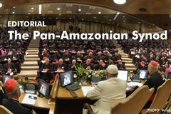 The Pan-Amazonian Synod