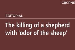 The killing of a shepherd with ‘odor of the sheep’
