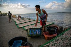 Holy See urges social sustainability on World Fisheries Day