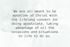 Synodality and today’s apostolate