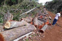 Bishop cries foul after mining firm clears forest in Palawan