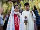 On Palm Sunday, priests urged to bless in the streets