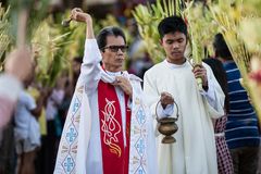 On Palm Sunday, priests urged to bless in the streets