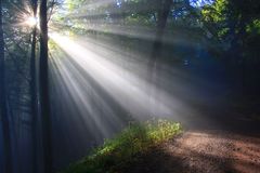 “Rend the heavens and come down”