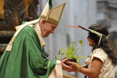 Pope Francis decries ‘predatory models of development’ in Amazon synod closing Mass