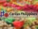 Caritas Philippines, nababala sa joint investment ng 3-malaking kumpanya sa LGN project