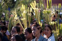 Palm Sunday and the Holy Week