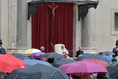Pope Francis: Subsidiarity means everyone has a role in healing society
