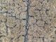 Peasant group decries lack of assistance for El Niño-stricken local food producers