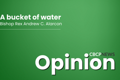 A new model of leadership