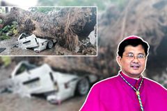 Nabagsakan ng century old acacia tree sa Taytay, tutulungan ng Diocese of Antipolo