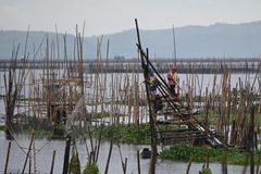 Laguna fisherfolk face livelihood threat from floating solar project