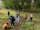Pope Francis calls for environmental care, ethical action