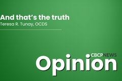 The pursuit of truth