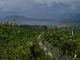 Hollywood actor Leonardo DiCaprio joins calls to protect Masungi Geopark