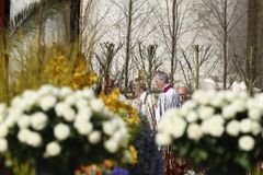 Easter shows the power of love, which renews the world, pope says