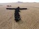 Iowa priest-photographer surprised by appeal of viral cattle cross image