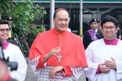 Cardinal David dons ‘Romero Cross’