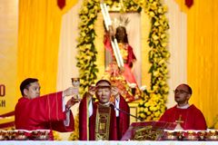 Cardinal Advincula warns against slavery to money, vices on Nazarene feast