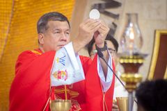 Pope names Daet priest as new Pagadian bishop