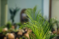 Christ’s Passion has every virtue to emulate,  especially in the face of adversity