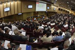 Amazon synod discussion groups support married priests, female deacons