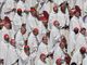 Cardinals ask faithful to pray for their discernment for new Pope
