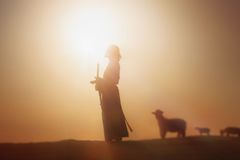 Christ gave his apostles and their successors  the mission to shepherd all peoples