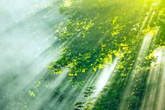 The Holy Spirit will enlighten us to see a merciful God in our lives