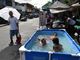 Twice the heat: Asia’s climate crisis accelerates, WMO finds