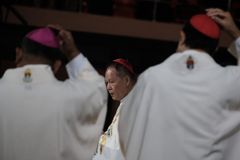 Cardinal urges faithful to persevere in mission at evangelization conference