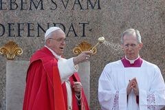 Embrace the cross, trust God will triumph, pope says on Palm Sunday