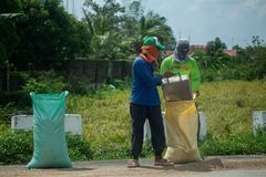 Peasant group renews demand to repeal Rice Liberalization Law, warns of deepening farm crisis