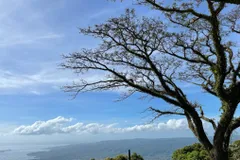 Christianity is about developing full dependence on Jesus  who is the heart of true discipleship