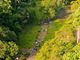 Pagtatag ng Tree Park, isinusulong ni Archbishop Uy - VeritasPH