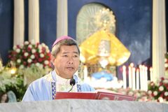 Peñafrancia feast: Bishop urges devotees to confront corruption, live true discipleship