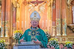 Palma tells Cebu faithful: ‘I’m just around’