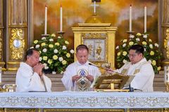 Cardinal urges Filipinos: ‘Normalize sainthood’ as CBCP launches new saints office