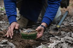 Holy See: Machines cannot make decisions over life and death