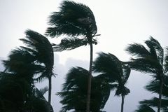 Persevere in the face of unbelieving forces hostile  to man, to nature and to God