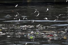 PH waste crisis an ‘ecological sin,’ Cardinal David says as country tops global ocean trash list