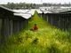 Vietnam’s solar power could cut $600M in imports as global energy prices rise