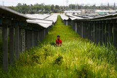 Vietnam’s solar power could cut $600M in imports as global energy prices rise