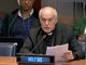Holy See calls on UN to eradicate surrogacy ‘in all its forms’