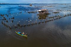 Fuel crisis pushes fisherfolk deeper into uncertainty, groups press for state support