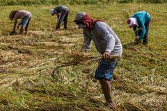 Decades of unresolved land conflicts expose gaps in Philippine governance and agrarian reform