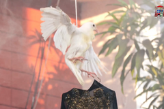 Cardinal David admits harm, halts Malabon Easter rite after dove’s death sparks outrage