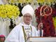 Cardinal David, humingi ng paumanhin sa insidente ng animal abuse sa Malabon - VeritasPH