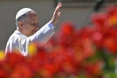 Pope welcomes Middle East ceasefire, invites faithful to join prayer vigil for peace