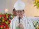 Mga Cebuano hinimok ni Archbishop Uy na magtayo ng Miyawaki Pocket Forest - VeritasPH